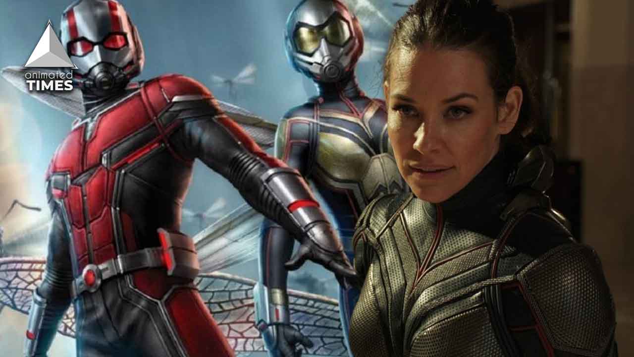 What Is the Best Change Made by Marvel Studios As Per Evangeline Lilly