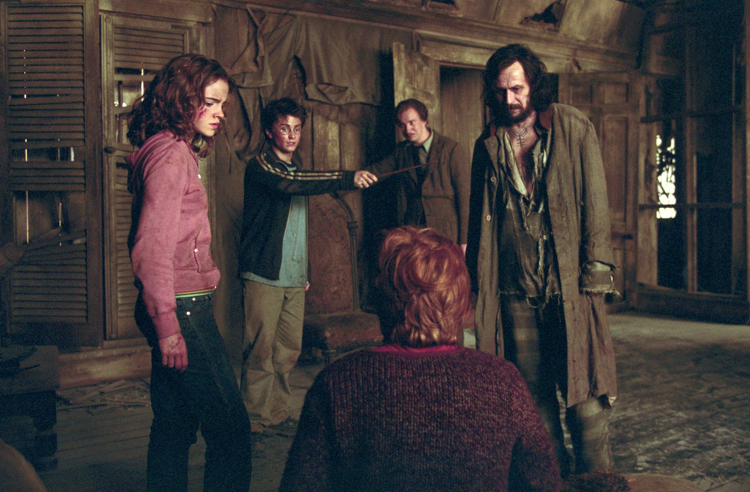 Hermione Defends Harry