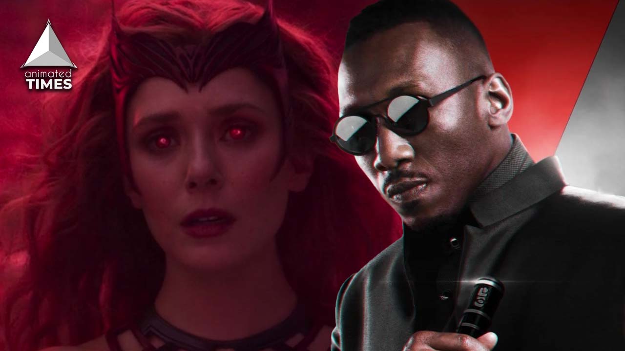 Blade Is Hunting Scarlet Witch The Darkhold MCU Theory