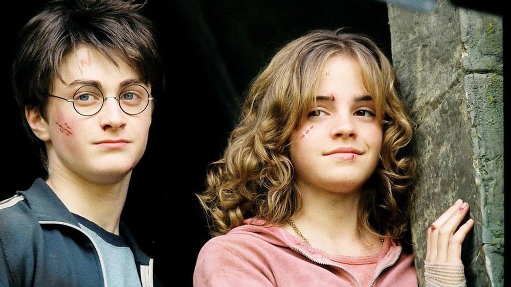 Harry And Hermione