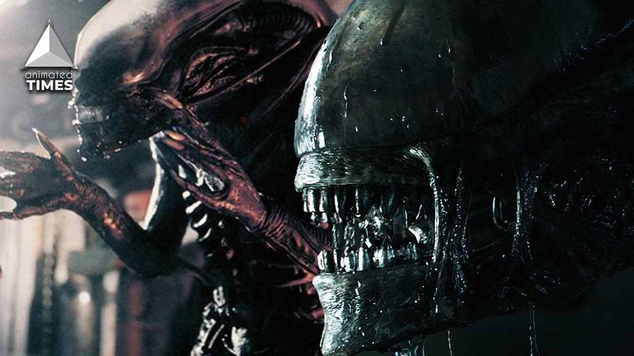 Alien Facts About The Xenomorph Ridley Scott Doesnt Want You To Know