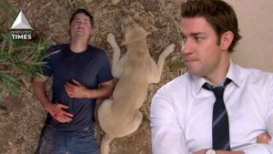 TV Shows That Such Horrendous Final Seasons They Destroyed Their Own Legacy