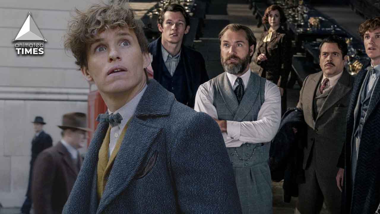 Fantastic Beasts Why WB Should Go Ahead With A Sequel