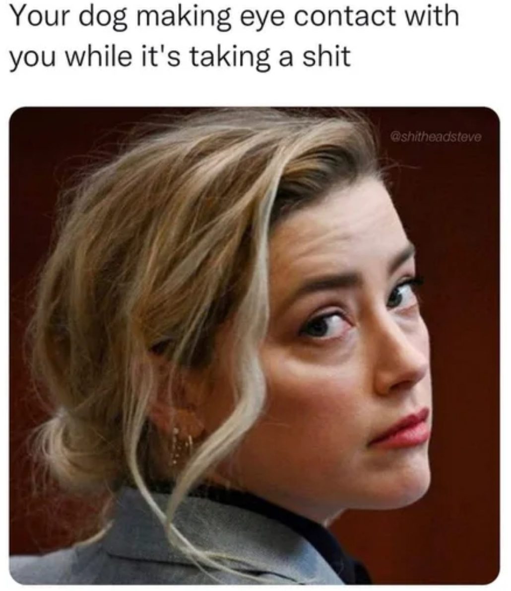 Amber Heard Meme