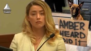 Johnny Depp Fans Now Trolling Amber Heard With #MePoo Fan Campaign