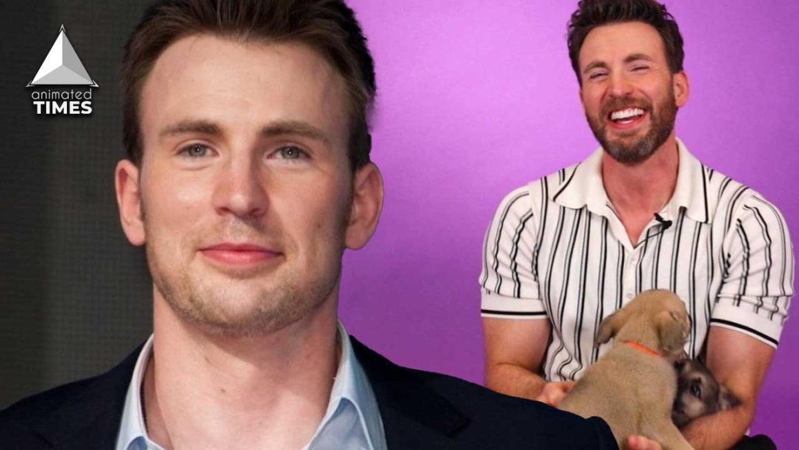 Chris Evans' Puppy Interview Is Cuter Than We Imagined - Animated Times