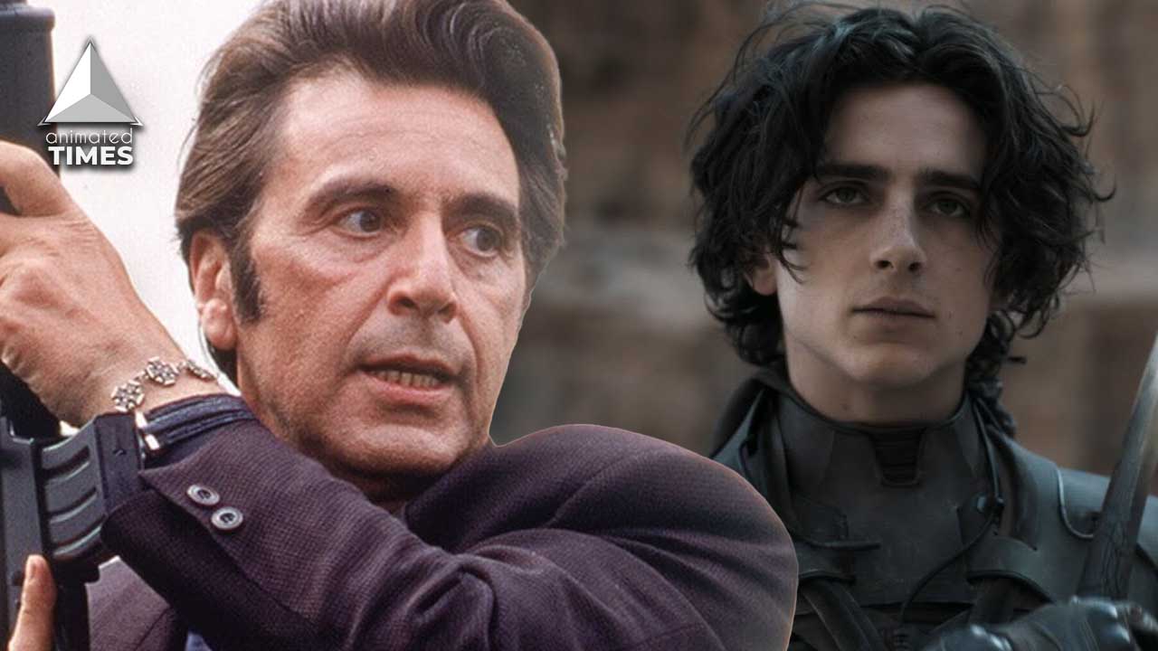 Is Warner Brothers Really Replacing Al Pacino With Timothee Chalamet
