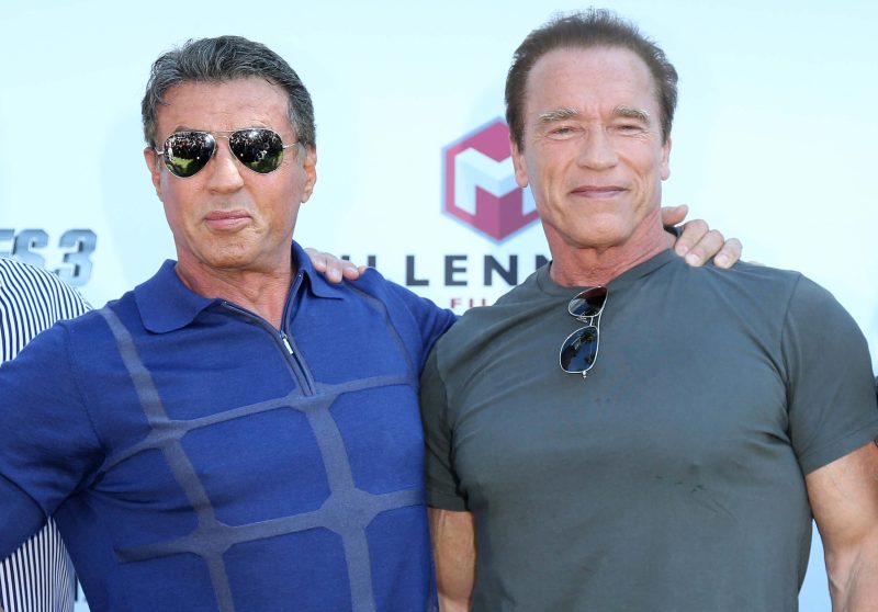 'He Totally Went For It': Arnold Schwarzenegger's Cunning Trick to Tank ...