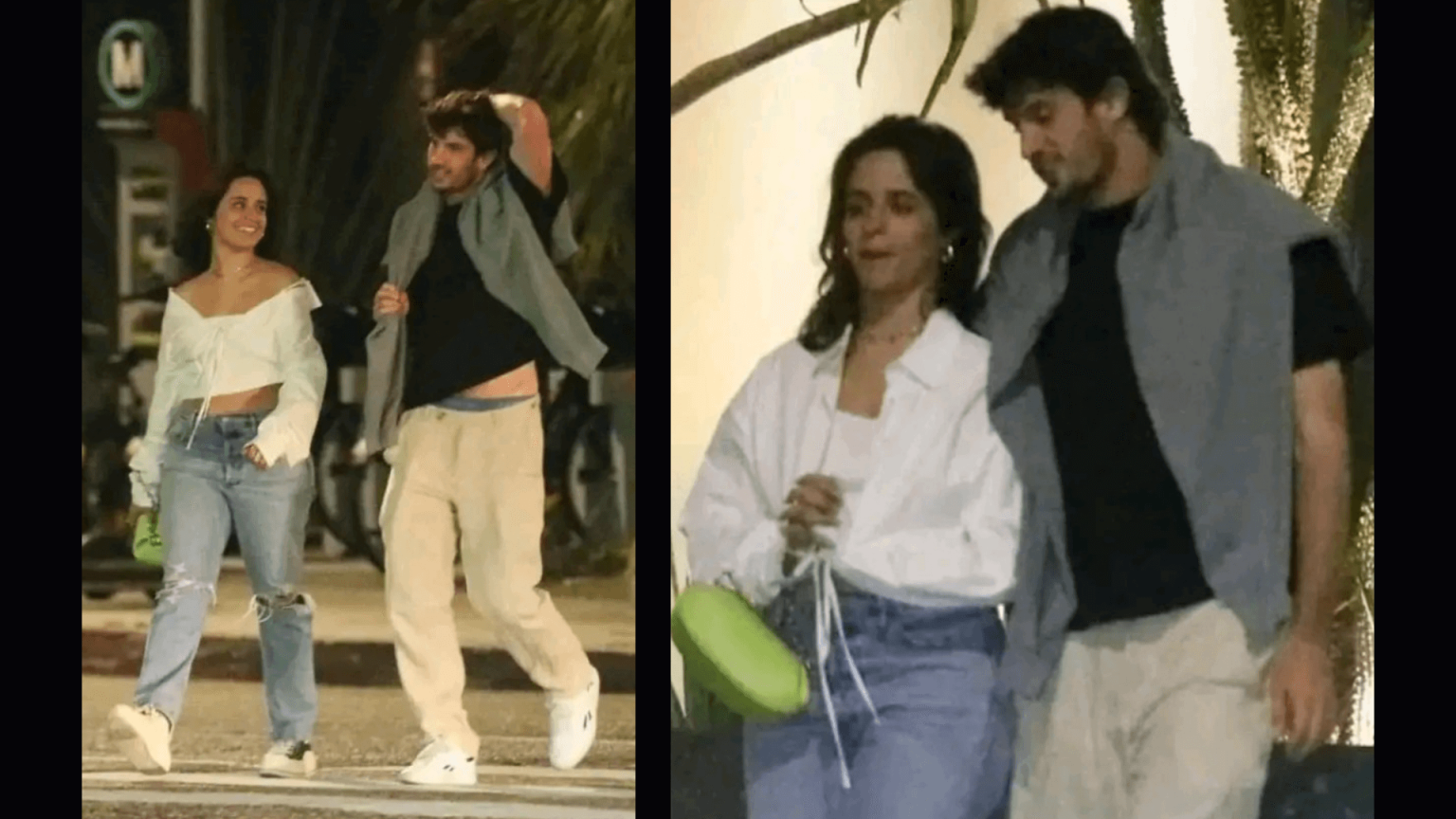 Who is Austin Kevitch Camila Cabello's New Partner Fans Are Calling