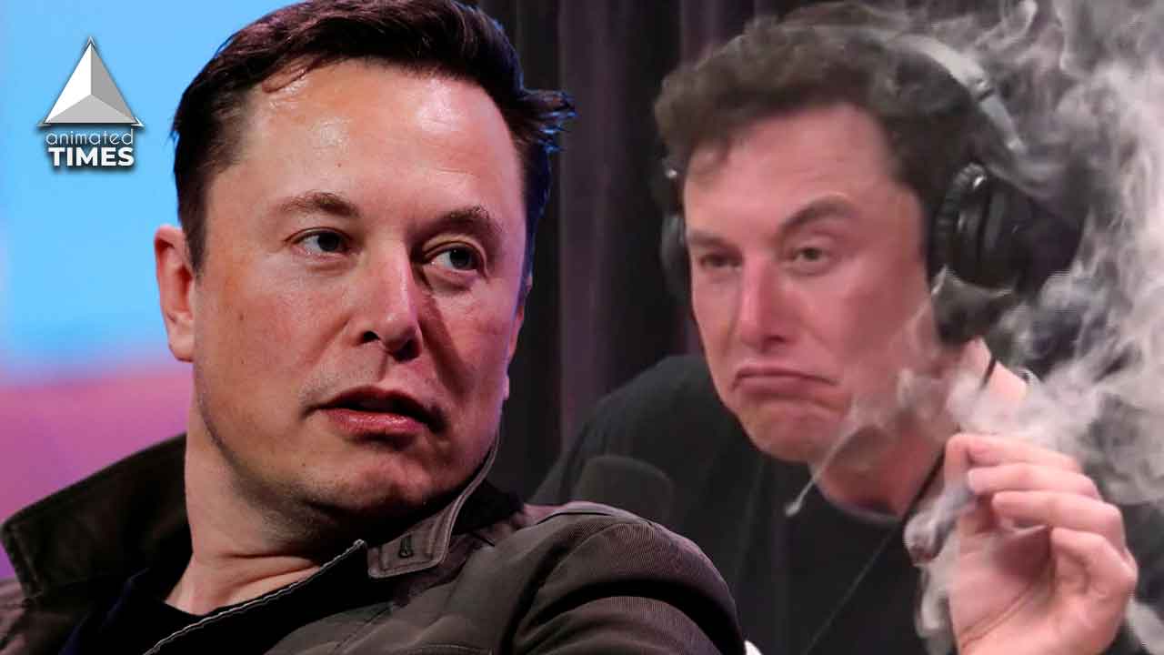 Elon Musk Weed Joe Rogan