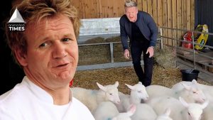 ‘Which one’s going to the oven first?’: Celebrity Chef Gordon Ramsay Comes Under Fire For Brutal TikTok Video, Fans Defend By Asking Does Meat Grow on Trees?