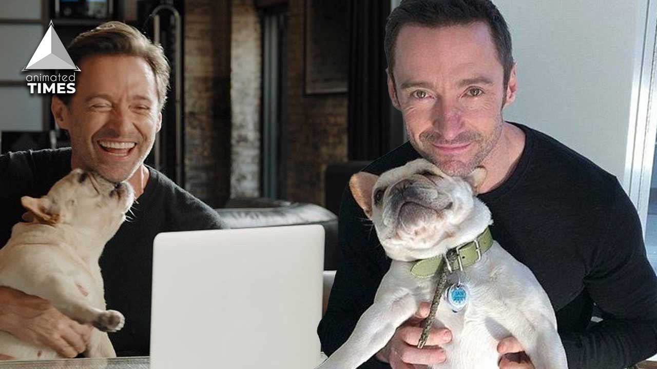 “He would’ve been 12 next month”: Hugh Jackman Releases Heartbreaking News Of His Dog Passing Away, Twitter Unites To Cheer Up Wolverine Star