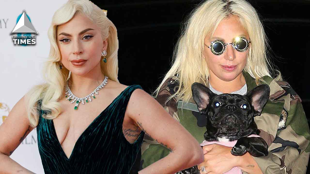 ‘They Shot the Dog Walker…But We Are More Concerned With Her Dogs?’: Lady Gaga Fans Blasted Online for Being More Concerned With Missing French Bulldogs Than the Actual Dog Walker