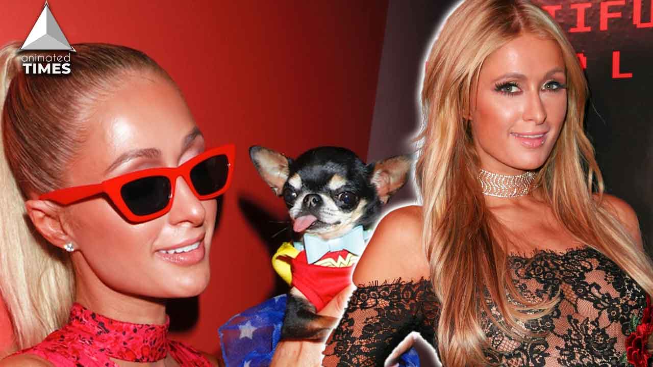 Paris Hilton with dog Daimond Baby