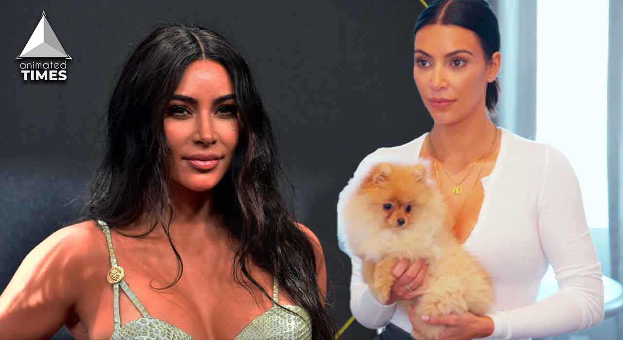 ‘A lot of them treat animals like a new purse’: Kim Kardashian Makes Daughter North Delete Video Showing Her Dogs Being Kept in the Garage, Enraged Fans Cry Animal Cruelty