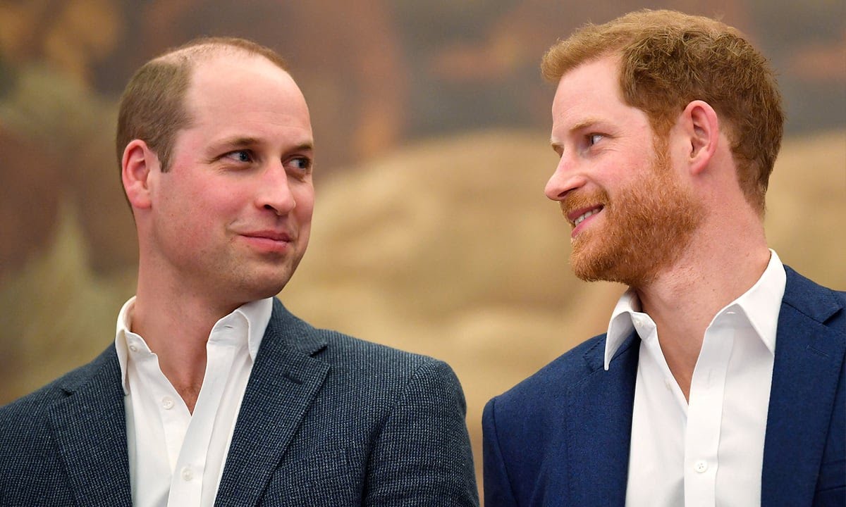 Prince Harry thinks Netflix documentary will reconcile him with Prince William