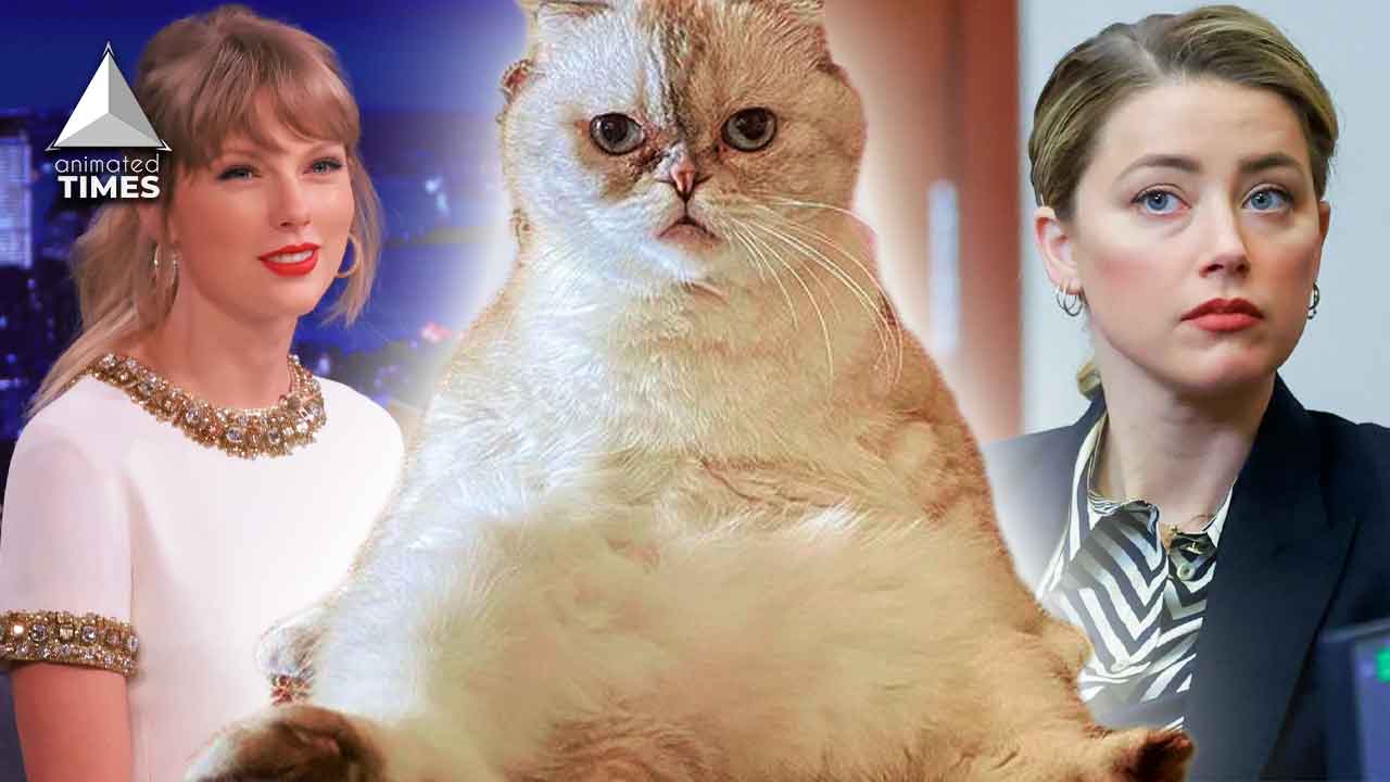 With $97M Net Worth, Taylor Swift’s Cat ‘Olivia Benson’ is Almost 50 Times Richer Than Amber Heard