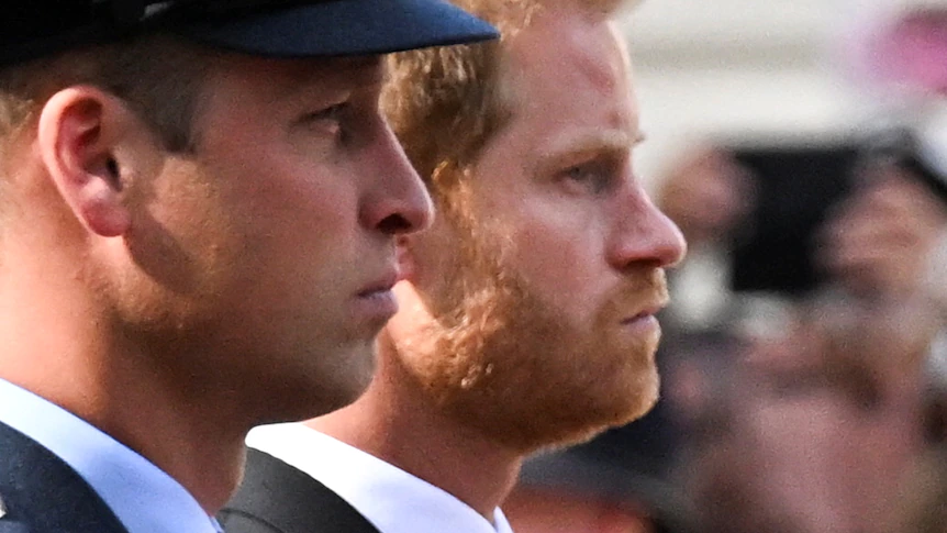 Prince Harry was allegedly assaulted by Prince William 