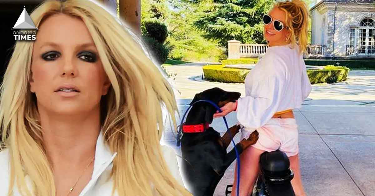  If Her Family Ripping Her to Pieces Wasn’t Enough, Even Britney Spears’ Dogs are Biting Her in the A** – Animal Control Warns Her after Singer’s Dog ‘Porsha’ Viciously Attacks Senior Citizen