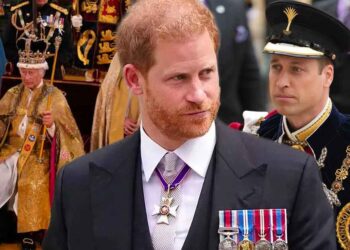 prince harry, prince william and king charles