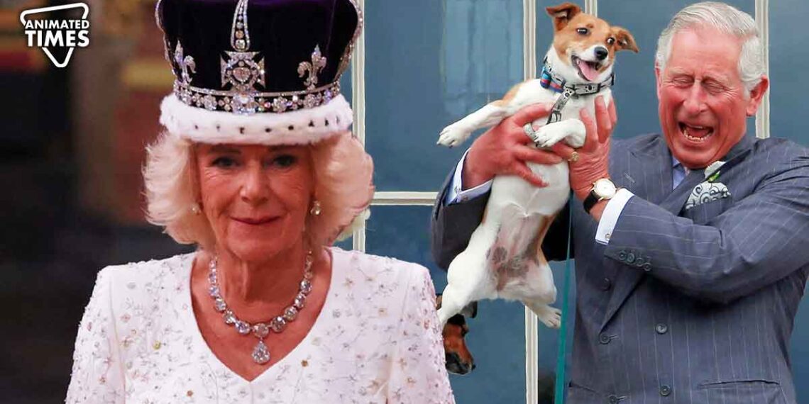 Queen Camilla's Two Rescue Dogs, Bluebell And Beth, Made It To Her ...