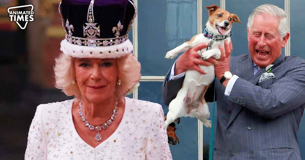 Queen Camilla’s Two Rescue Dogs, Bluebell and Beth, Made it to Her Coronation Gown