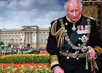 Suspect Arrested for Throwing Shotgun Cartridges Over Buckingham Palace Gates Wanted to "Kill the King" Before Royal Family Coronation Ceremony