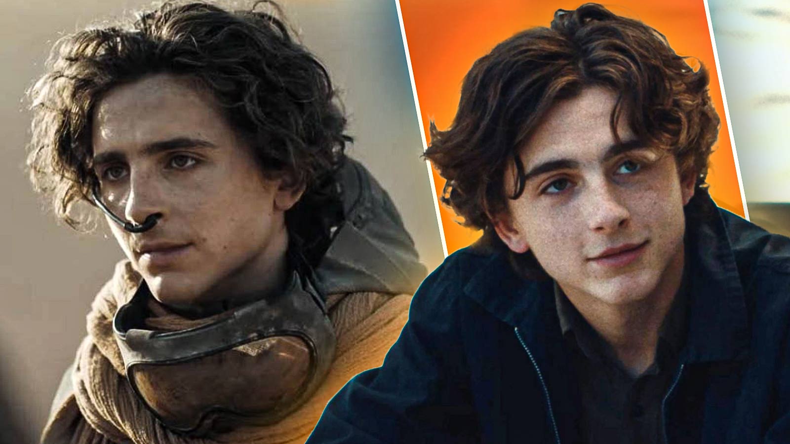 timothée chalamet in dune part 2