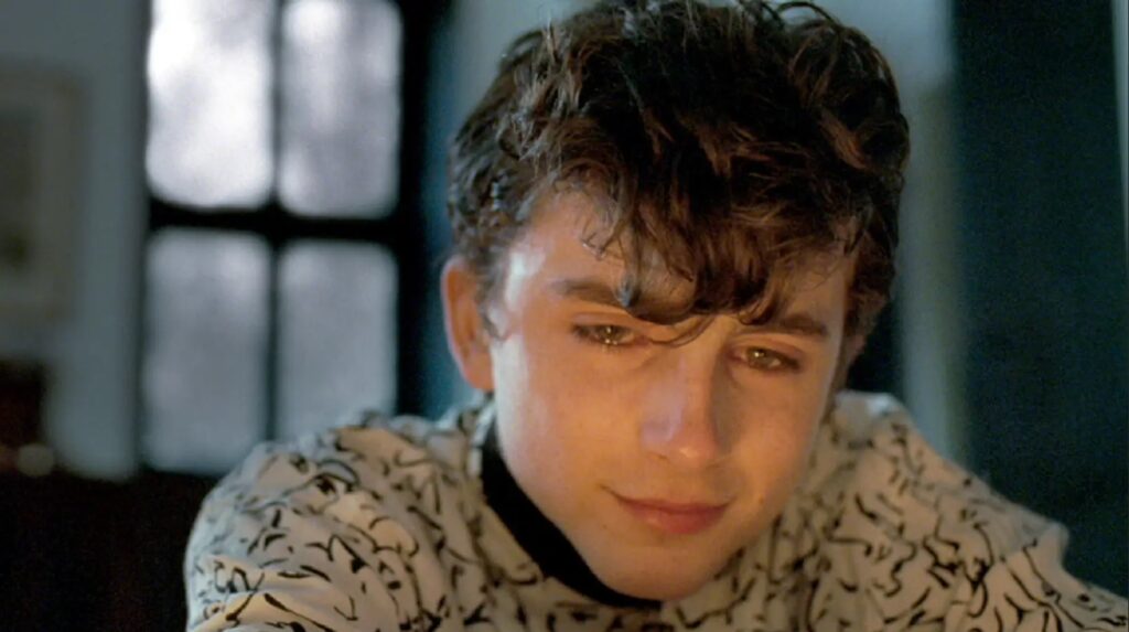 Timothée Chalamet in Call Me By Your Name